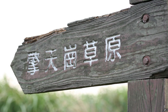 <<共享>>Tokina AT-X 535 PRO DX + CANON 400D 作品照片第一次處女座分享