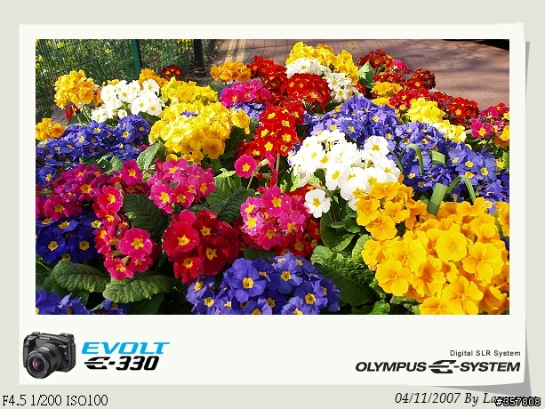 E330+14-54mm 初次入手DSLR