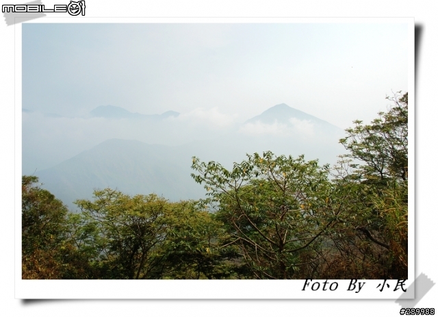 [分享]大漢山林道+浸水營古道