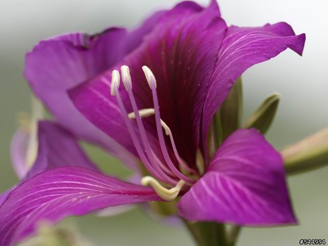 L1遇福倫達125/2.5L的美麗邂逅