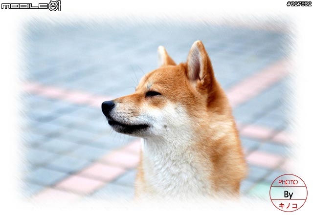 [D80長期分享][2007.08.13更新]新手分享購入及使用心得