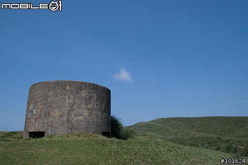 [D80] 擎天崗半日遊