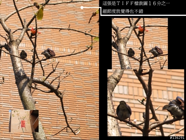 [心得分享]E500 & 17.5-45MM & OM 50MM 1.8 & AF 2800 之"倒"聽"圖"說(圖多老花眼勿近)