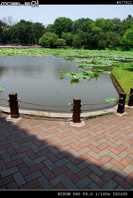 ~~植物園隨拍~~