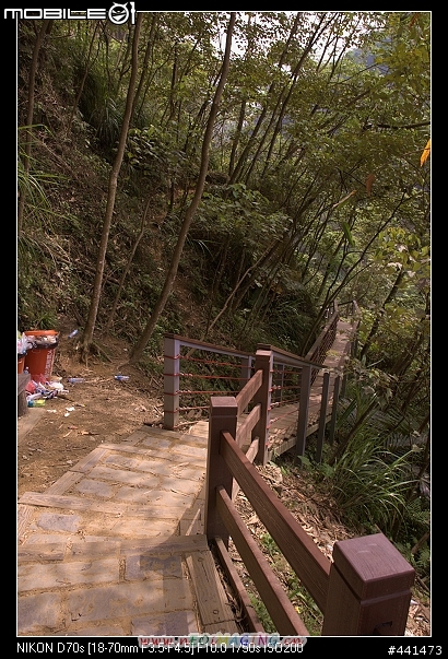 [南投]竹山天梯之旅 圖多!!