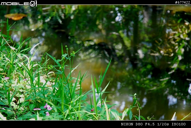 ~~植物園隨拍~~