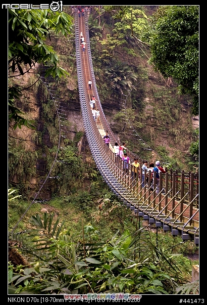 [南投]竹山天梯之旅 圖多!!