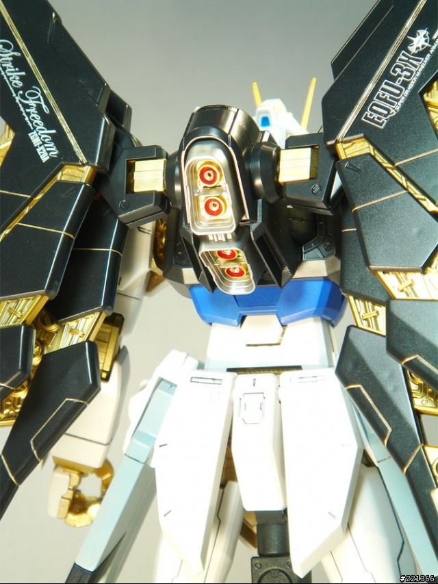 [模型作品分享] 金光閃閃的 MG攻擊自由鋼彈