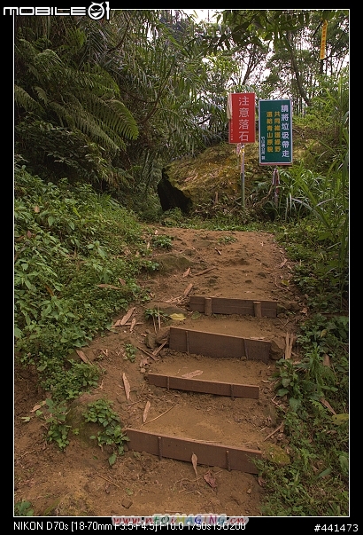 [南投]竹山天梯之旅 圖多!!
