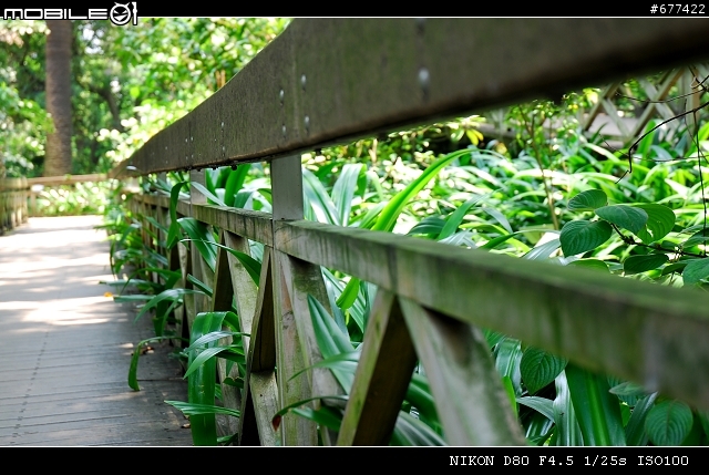 ~~植物園隨拍~~