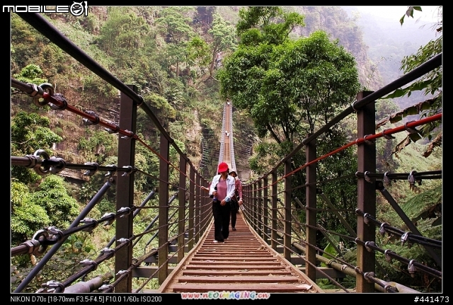 [南投]竹山天梯之旅 圖多!!