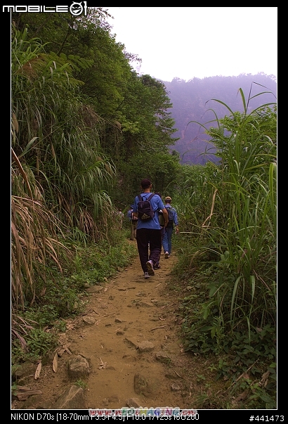 [南投]竹山天梯之旅 圖多!!