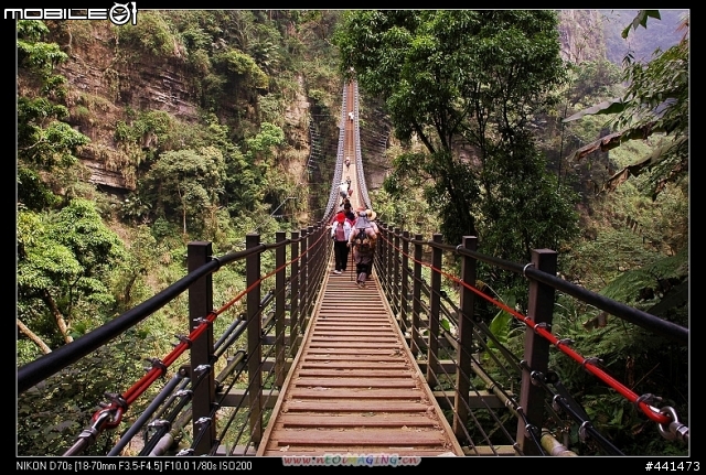 [南投]竹山天梯之旅 圖多!!