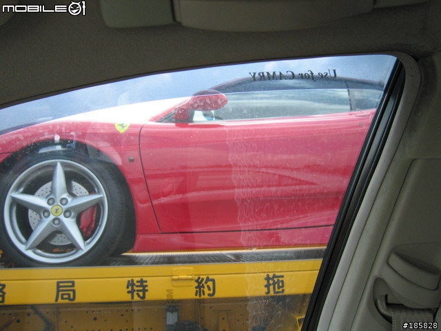 昨天在高速公路看到「一匹馬」…