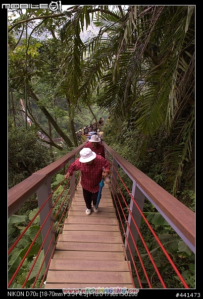 [南投]竹山天梯之旅 圖多!!