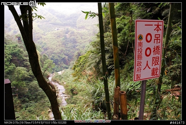 [南投]竹山天梯之旅 圖多!!