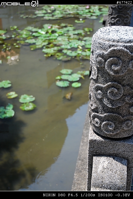 ~~植物園隨拍~~