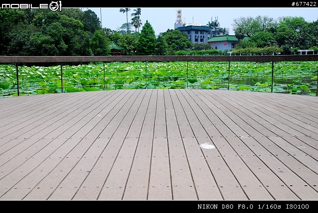 ~~植物園隨拍~~
