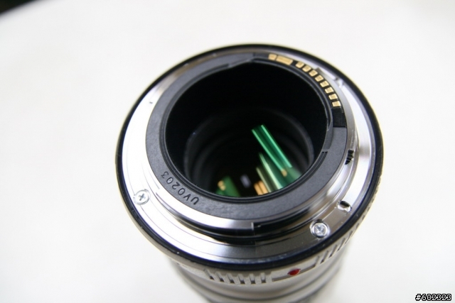 我竟然敗了小小白………真是敗、敗 、敗