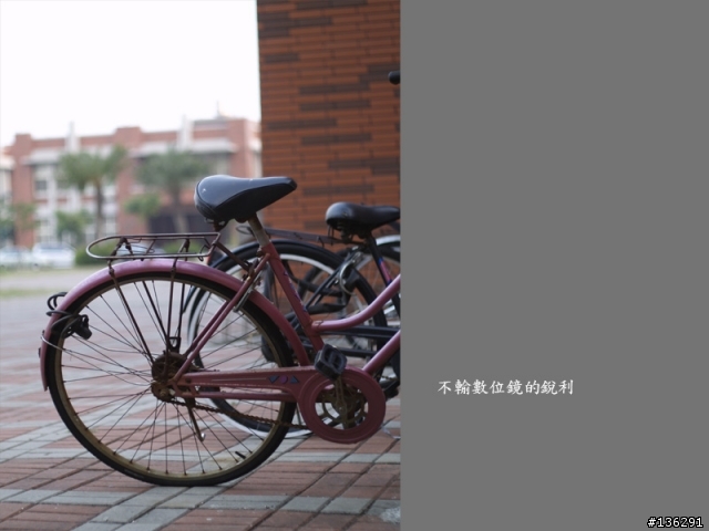 [心得分享]E500 & 17.5-45MM & OM 50MM 1.8 & AF 2800 之"倒"聽"圖"說(圖多老花眼勿近)