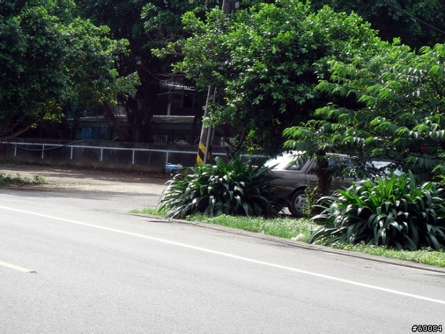 {限速}陽金公路..金山往陽明山起點雙向之測速器