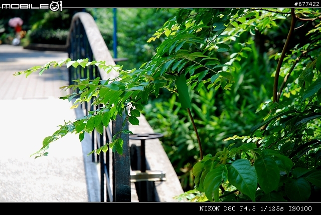 ~~植物園隨拍~~