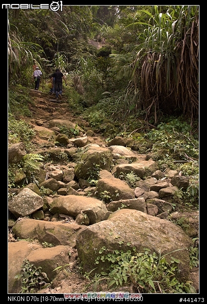 [南投]竹山天梯之旅 圖多!!