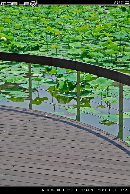~~植物園隨拍~~