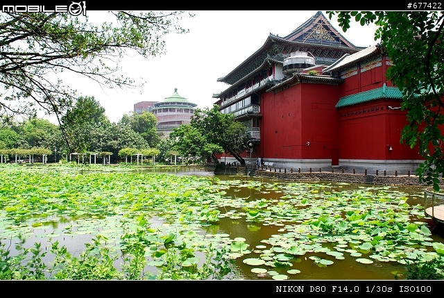 ~~植物園隨拍~~