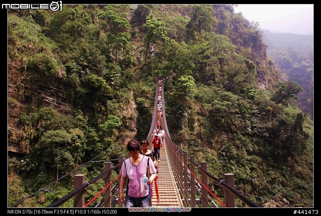 [南投]竹山天梯之旅 圖多!!