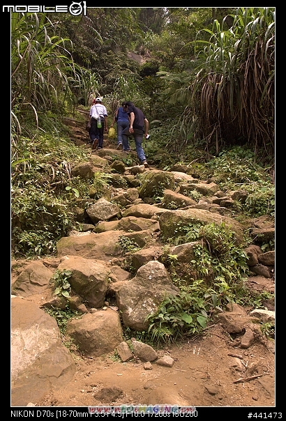[南投]竹山天梯之旅 圖多!!