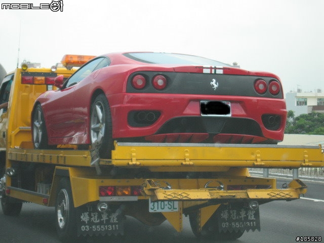 昨天在高速公路看到「一匹馬」…