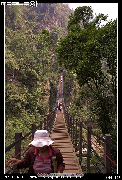 [南投]竹山天梯之旅 圖多!!