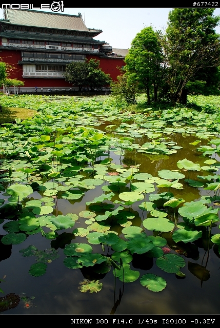 ~~植物園隨拍~~