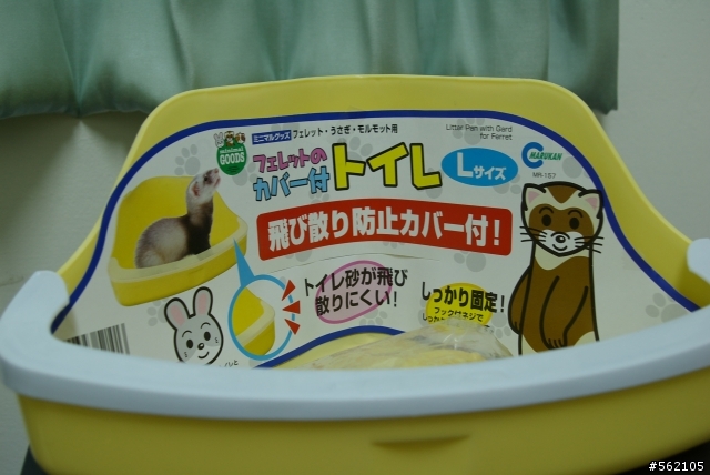 [分享]養寵物~燒錢的開始~!!....小東西進駐嚕XDDD~~2007/5/21