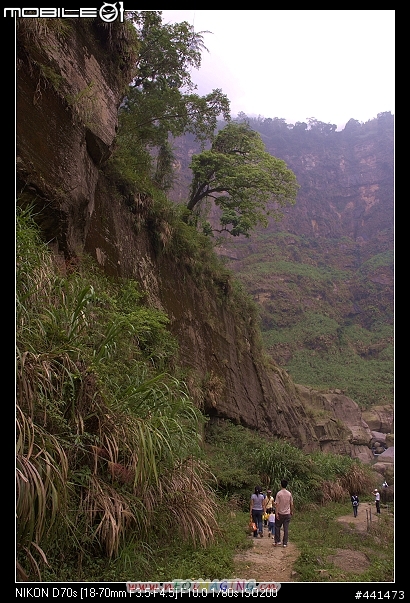 [南投]竹山天梯之旅 圖多!!
