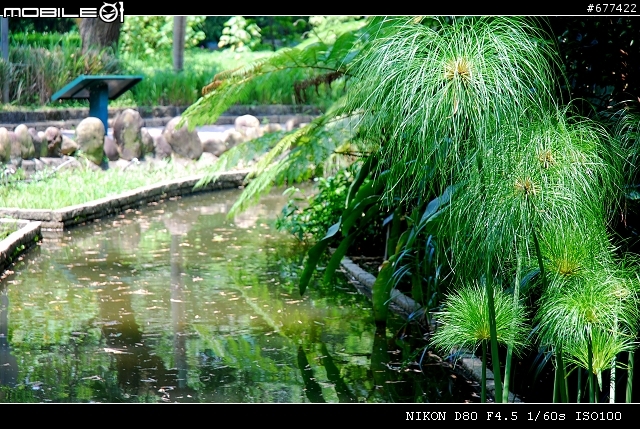 ~~植物園隨拍~~