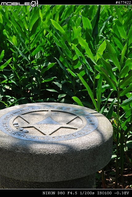 ~~植物園隨拍~~