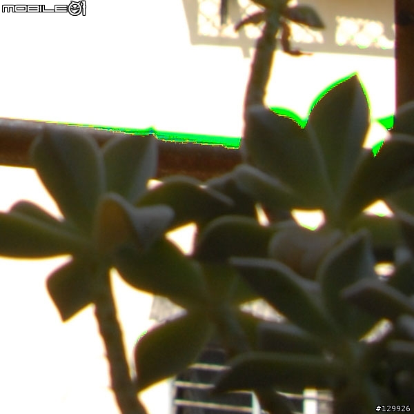 D200拍設出來的問題照片