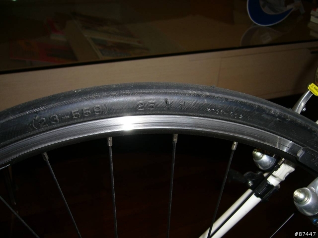 分享愛車..GIANT 19" M1..