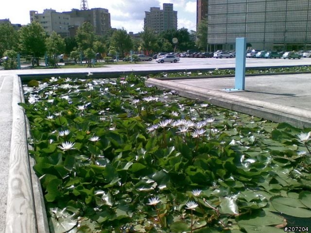 [美麗的月神Nokia 8600 Luna] 敗家心得報告