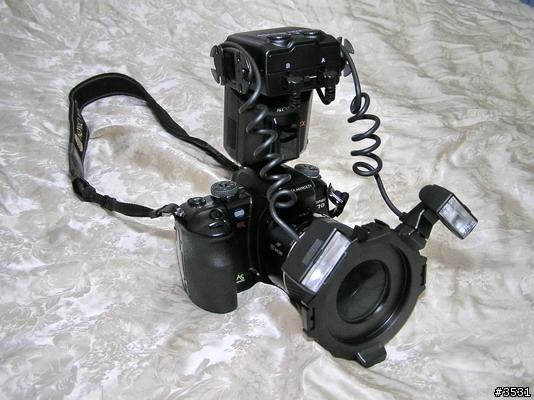 [測試分享]Sony 微距雙頭閃燈 HVL-MT24AM 及 Raynox CM-3500 微距探索鏡組