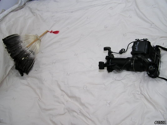 [測試分享]Sony 微距雙頭閃燈 HVL-MT24AM 及 Raynox CM-3500 微距探索鏡組