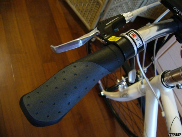 分享愛車..GIANT 19" M1..