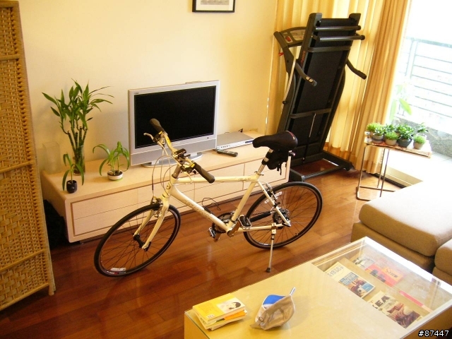 分享愛車..GIANT 19" M1..