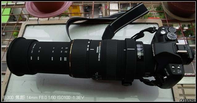 E-410+sigma 50-500 F4-6.3 的嘗試