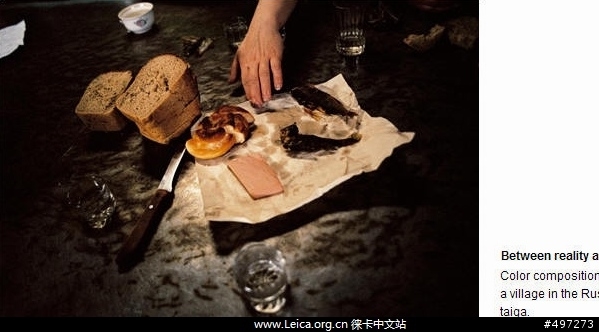 分享第一帖：Leica官方电子杂志中文版Word文档