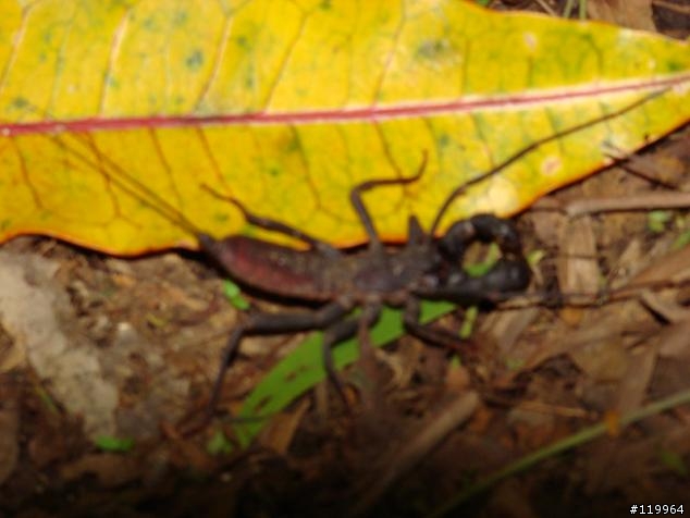 在關山的奇遇...