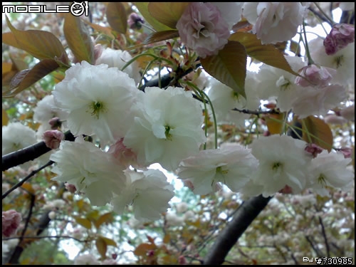 上海植物园游- N73微距拍摄样张！