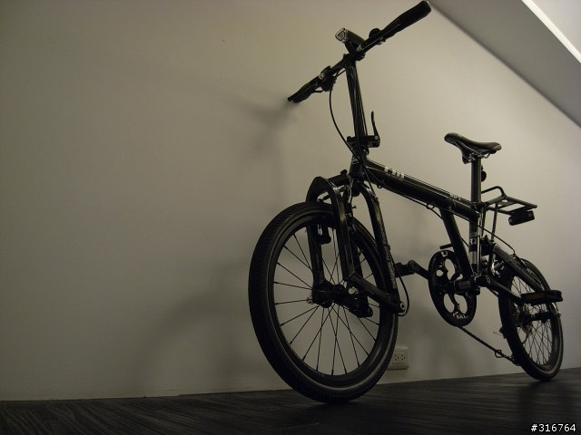 【分享】日本限定版的黑色小鳥車 Black Birdy Standard...